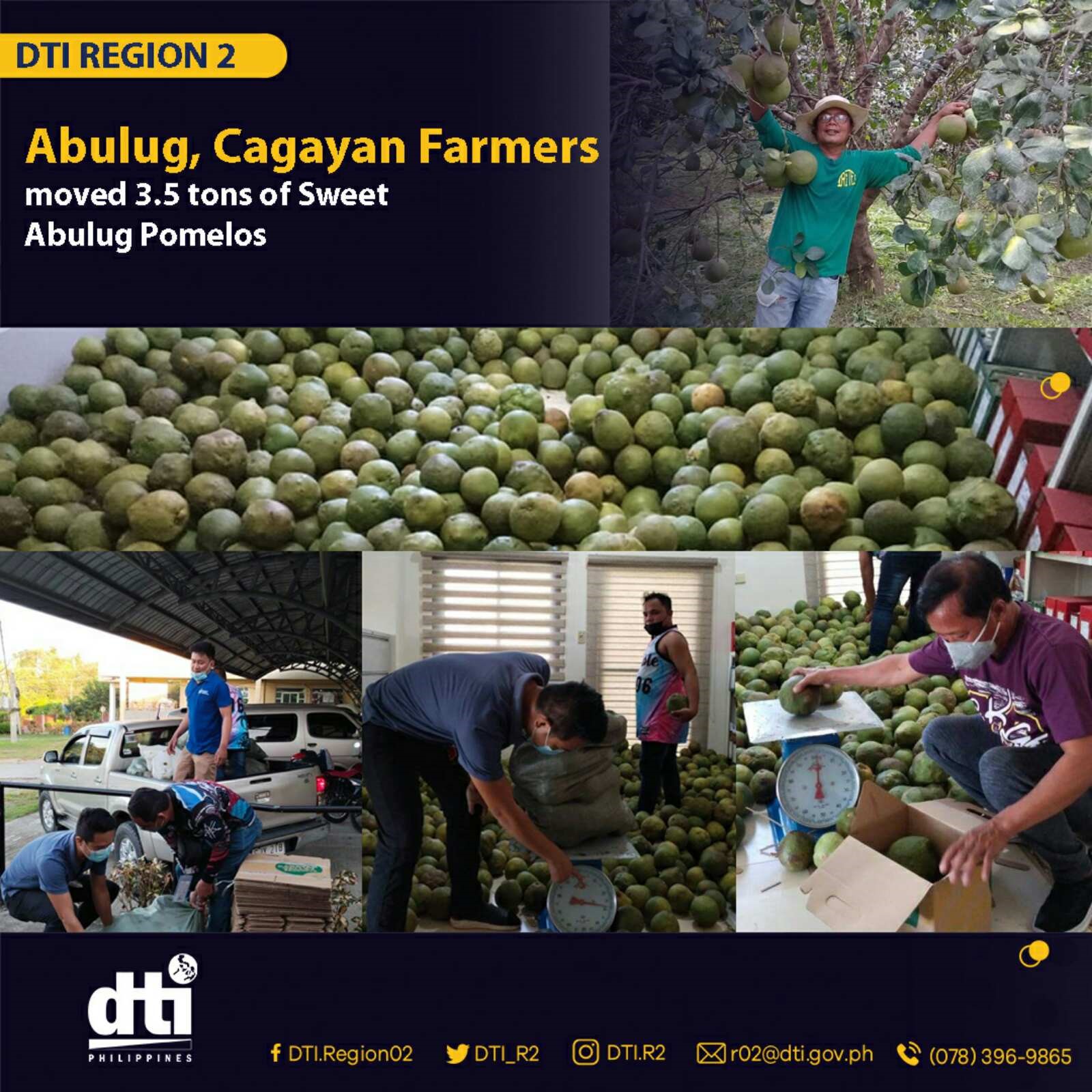 Abulug Cagayan farmers with 3.5 tonnes of pomelos